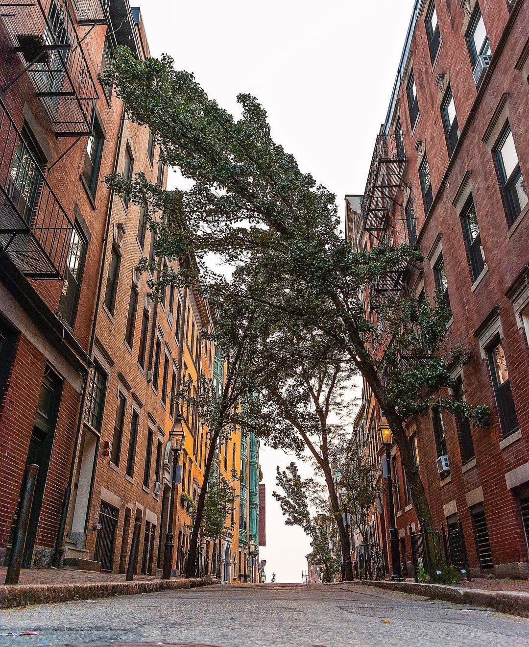 Grow in your own way. 📸: @rcgardiner #conceptblog