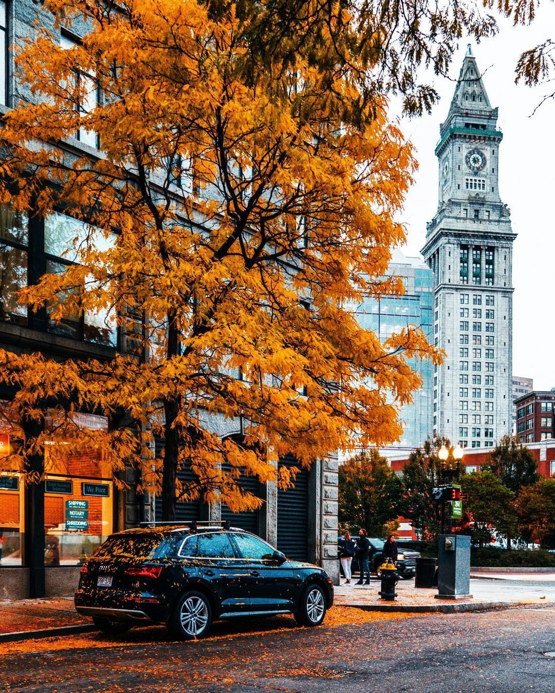 Autumn vibes. 📸: @pocketboston #conceptblog