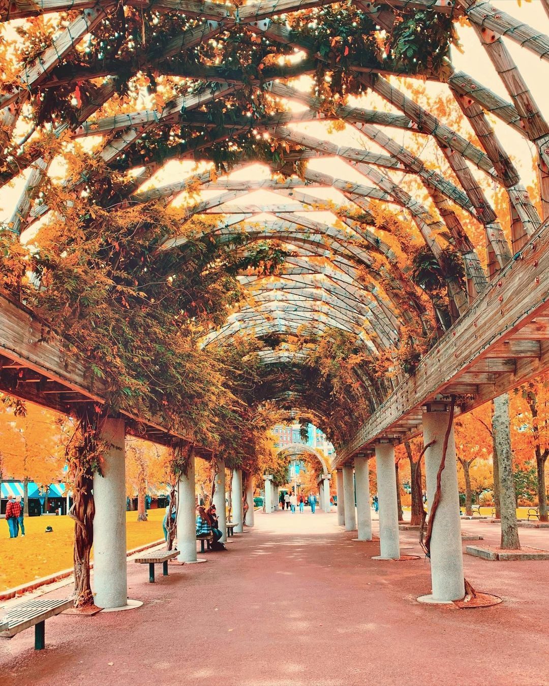 Lights peeking through. 📸: @life.of.a.shutterbug #conceptblog