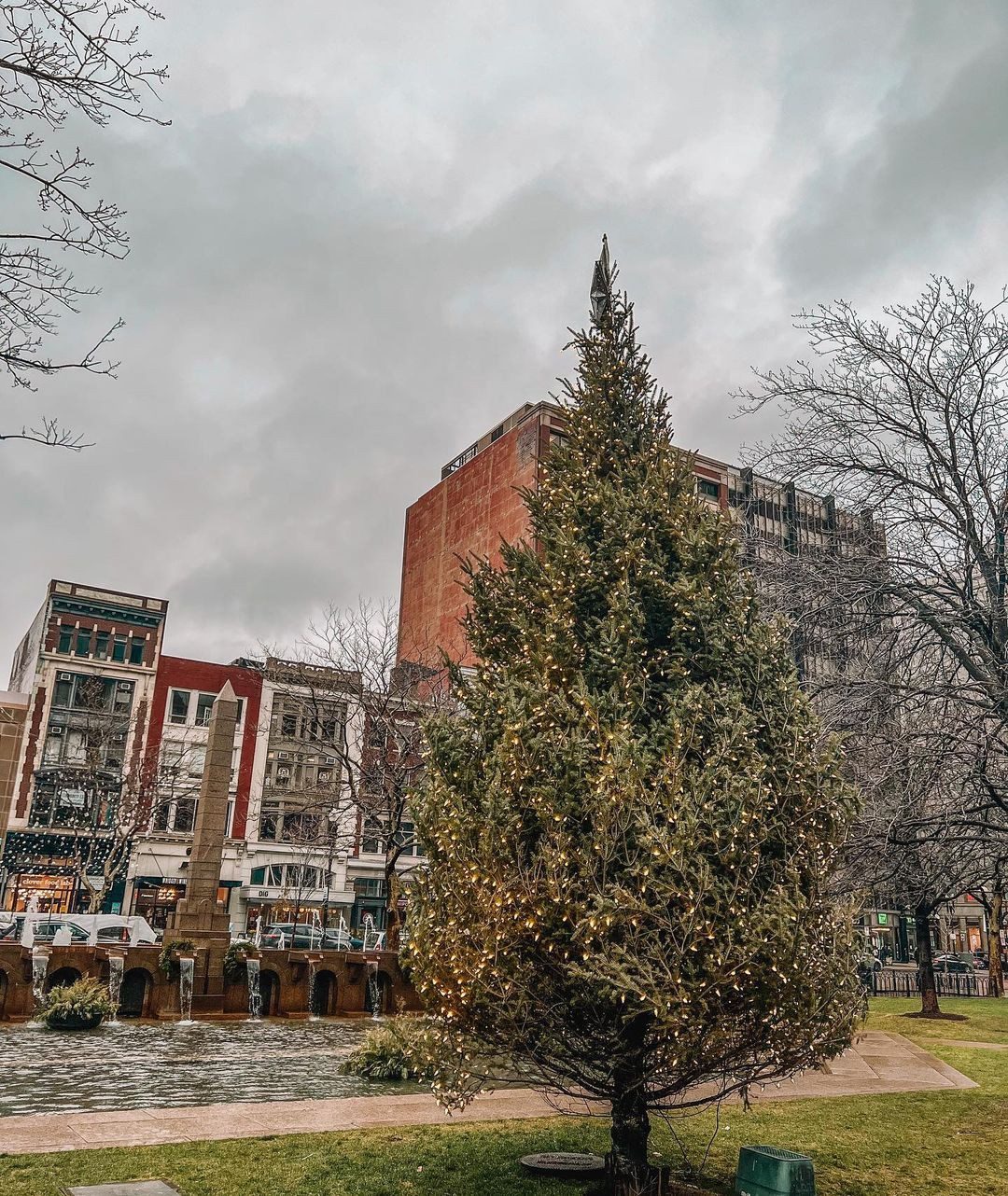 Christmas magic in the air. 📸: @carlyb_snaps #conceptblog