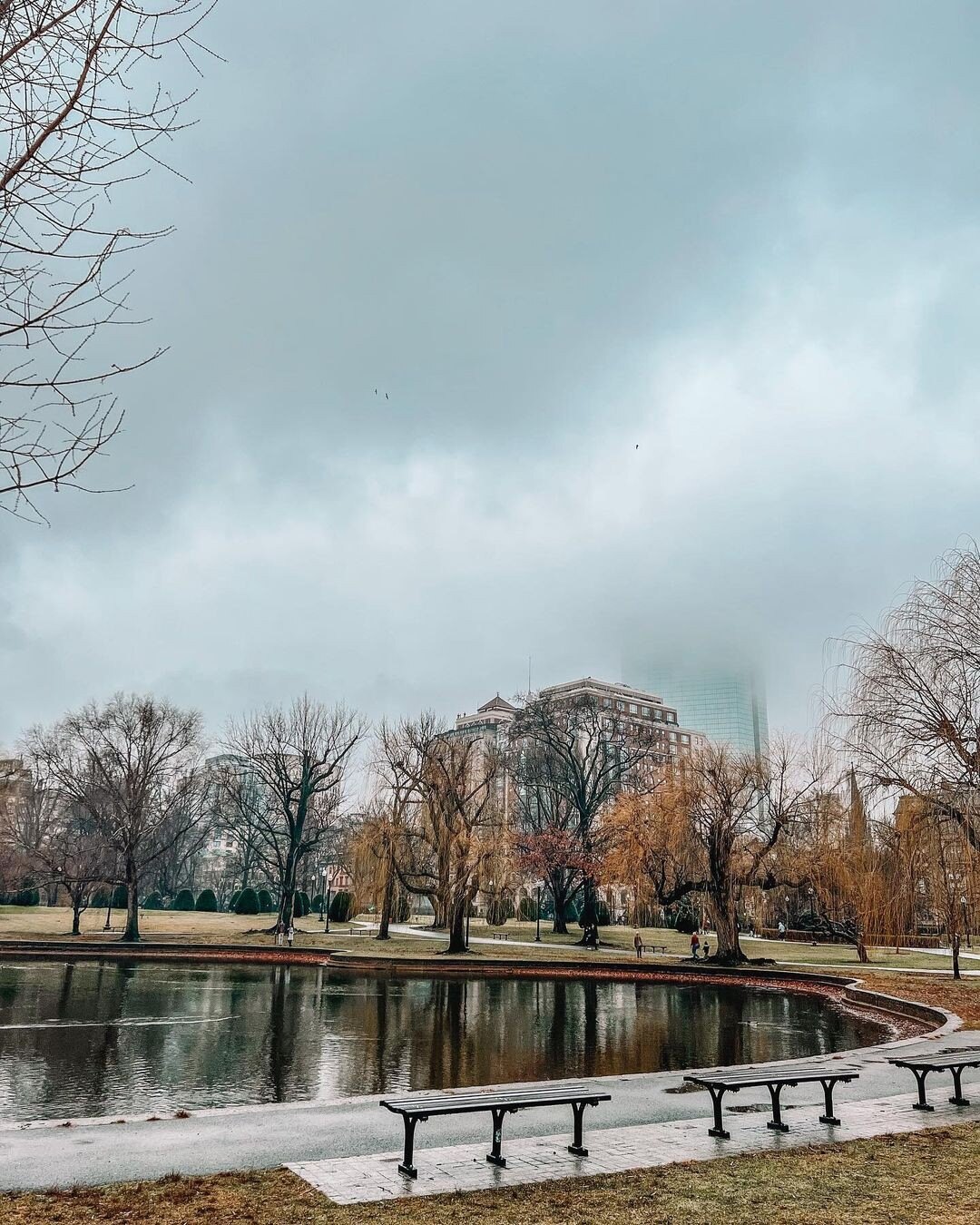 Boston Commons. 📸: @carlyb_snaps #conceptblog